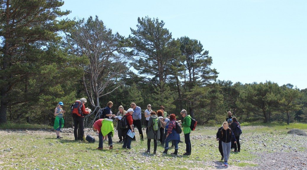 Kemiönsaaren luonto Örö